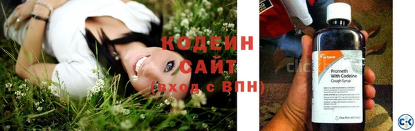 шишки Володарск