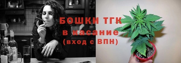 СК Волоколамск