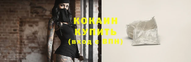 шишки Володарск