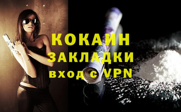 шишки Володарск