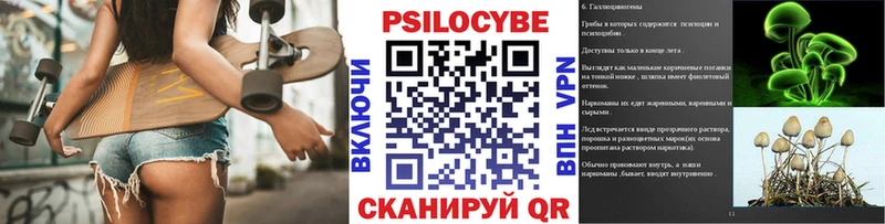 Галлюциногенные грибы Psilocybine cubensis Липки