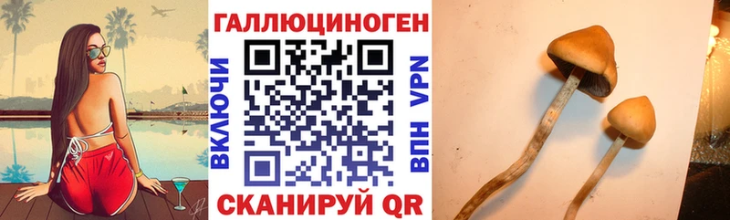Галлюциногенные грибы Psilocybine cubensis  где купить   Липки 